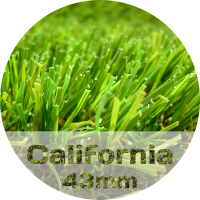 Gazon California 40mm