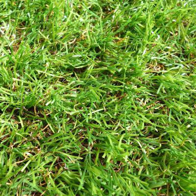 gazon synthétique montreal pas cher