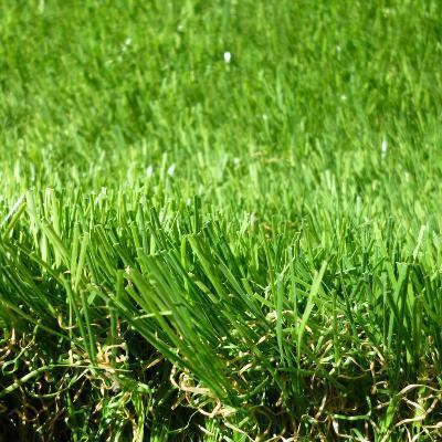 gazon synthétique Philadelphia 55mm pas cher