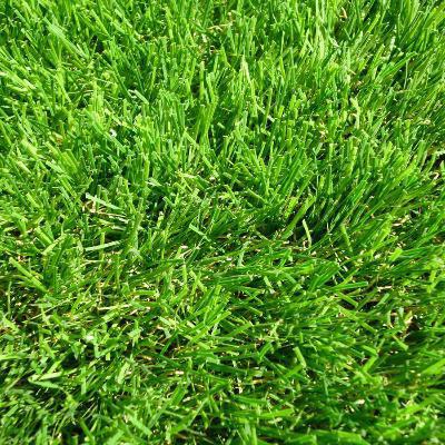 gazon synthétique Philadelphia 55mm pas cher